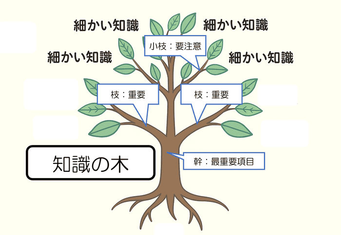 幹を最重要項目、枝を重要項目、小枝を要注意ポイント、葉を細かい知識として表現した、知識を木に見立てた構造図。