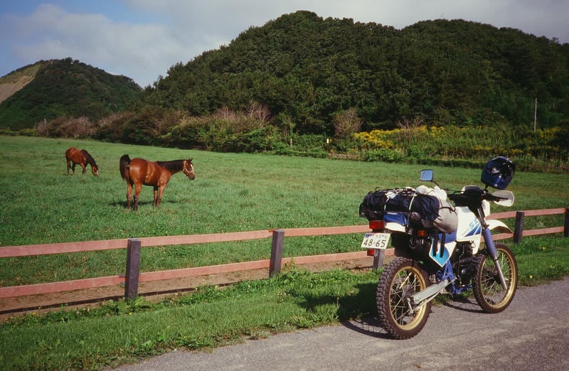 北海道・日高地方の牧場。フェンスの向こう側で草を食むサラブレッドと、手前の道に停まるフルパッキングのスズキSX200。緑豊かな牧草地と青空が広がる、穏やかで美しいツーリング風景。