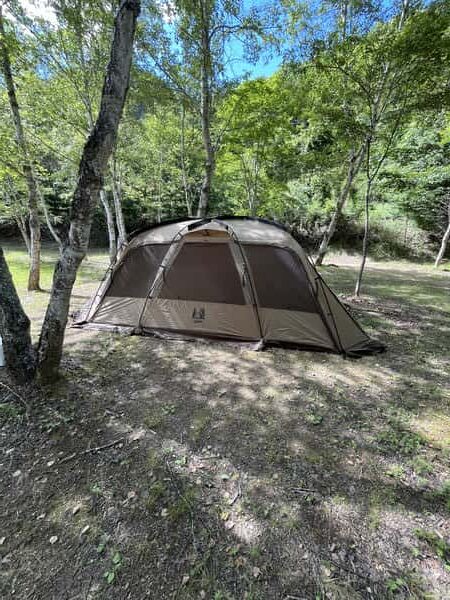 白樺林のキャンプ場に設営された小川テント(キャンパルジャパン)のツールームテント「ファシル」