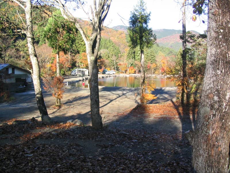 秋の早朝、誰もいない道志の森キャンプ場の池周辺